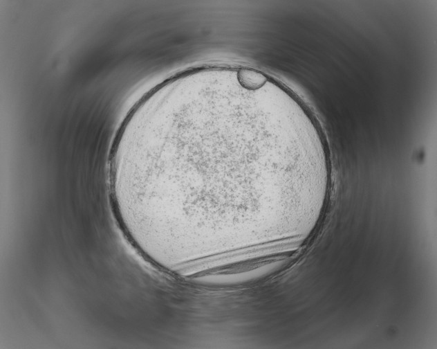 X0000115551335200912181544