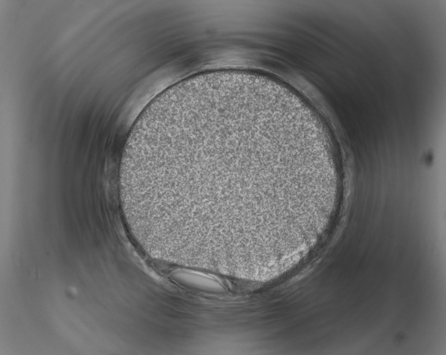 X0000115551337200912181544