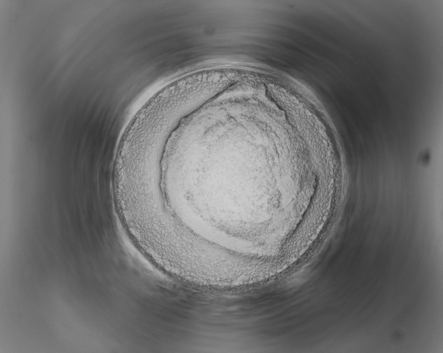 X0000115551338200912181544