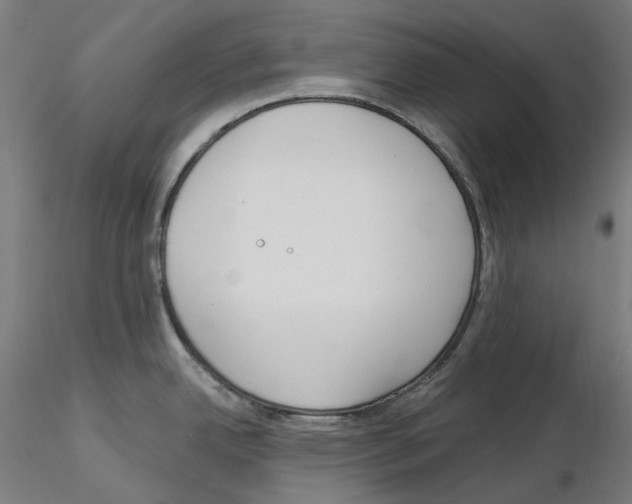 X0000115551342200912181544