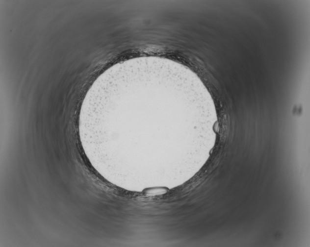 X0000115551345200912181543