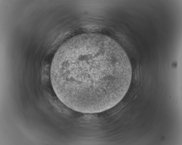 X0000115551346200912181543