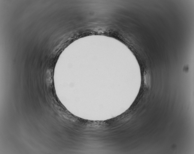 X0000115551347200912181543