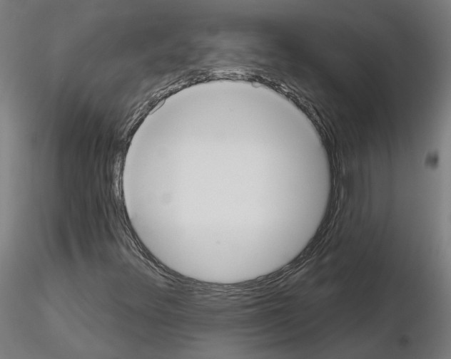 X0000115551348200912181543