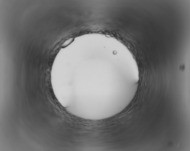 X0000115551349200912181543