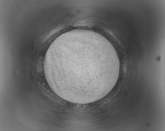 X0000115551350200912181543