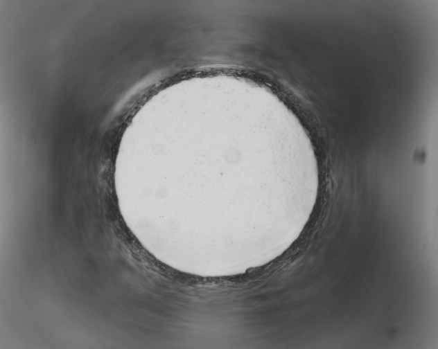 X0000115551351200912181543