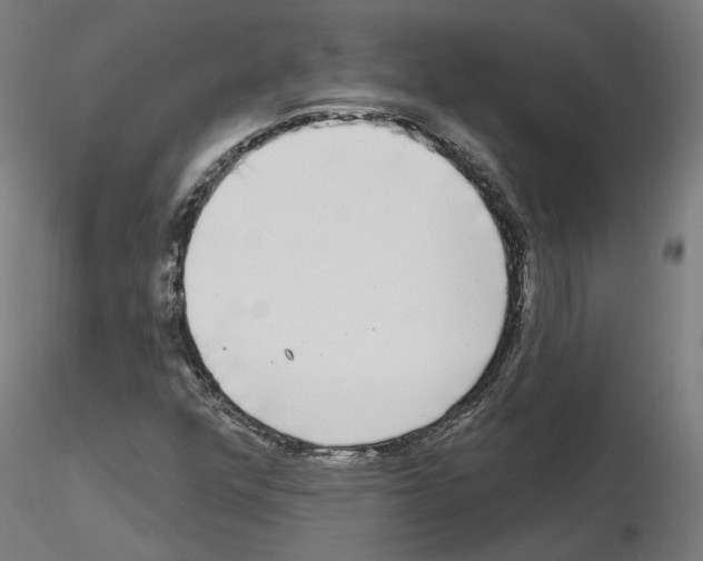 X0000115551352200912181543