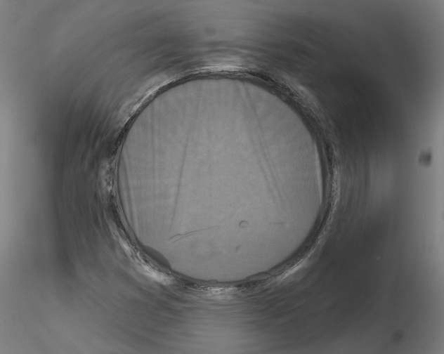 X0000115551353200912181543