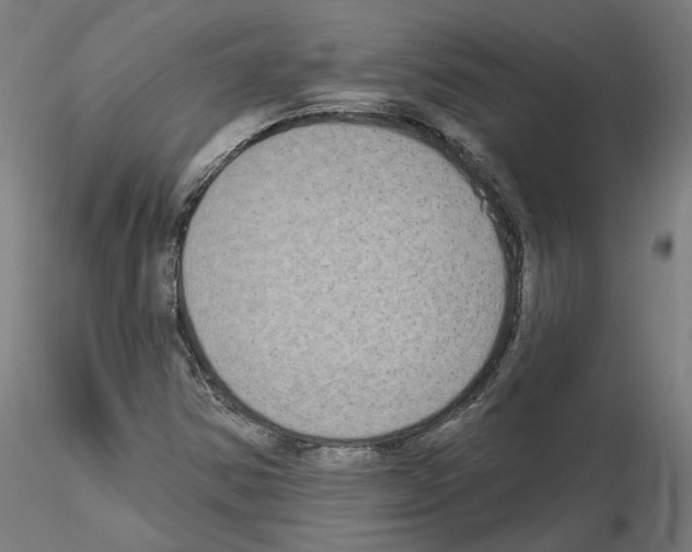 X0000115551354200912181543