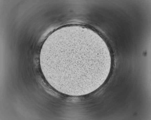 X0000115551355200912181543