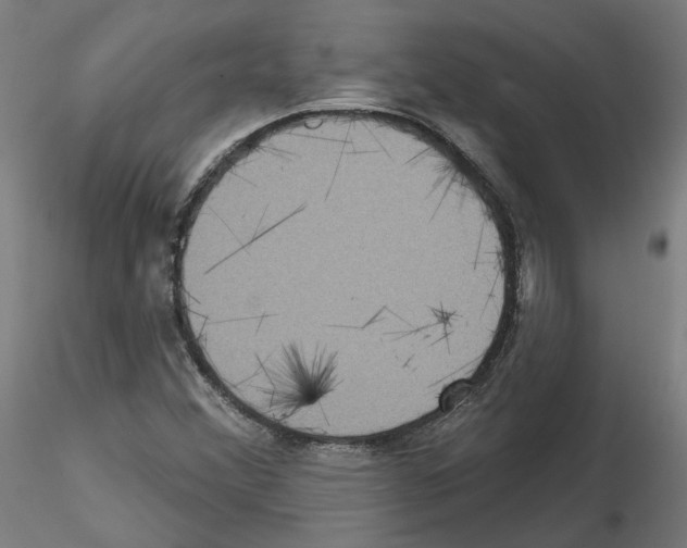 X0000115551356200912181543