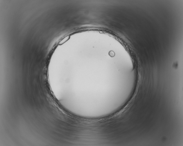 X0000115551357200912181543