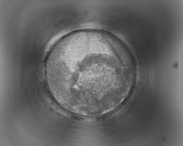 X0000115551358200912181543