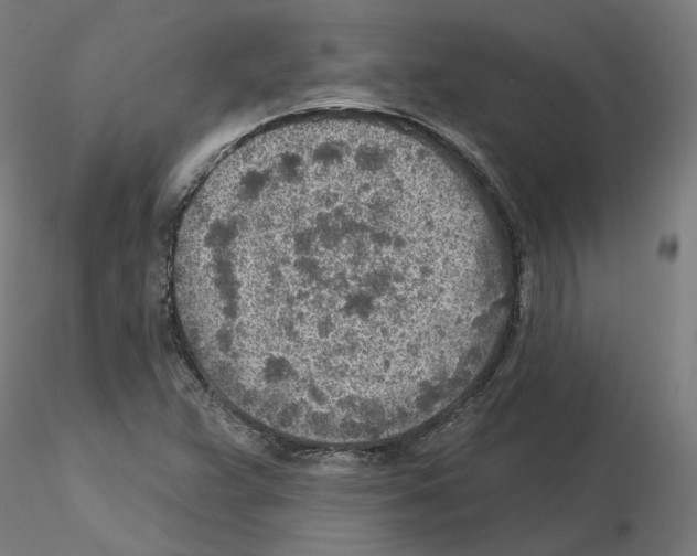 X0000115551359200912181543