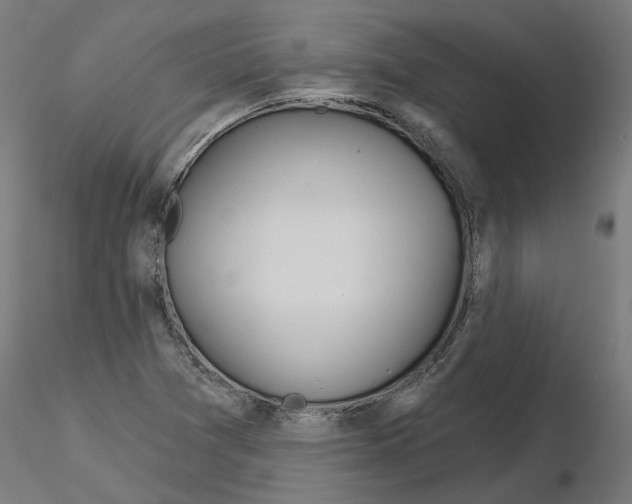 X0000115551361200912181543