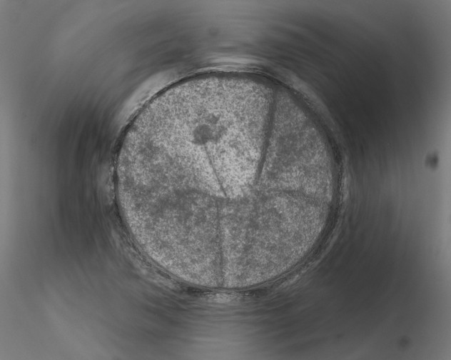 X0000115551362200912181543