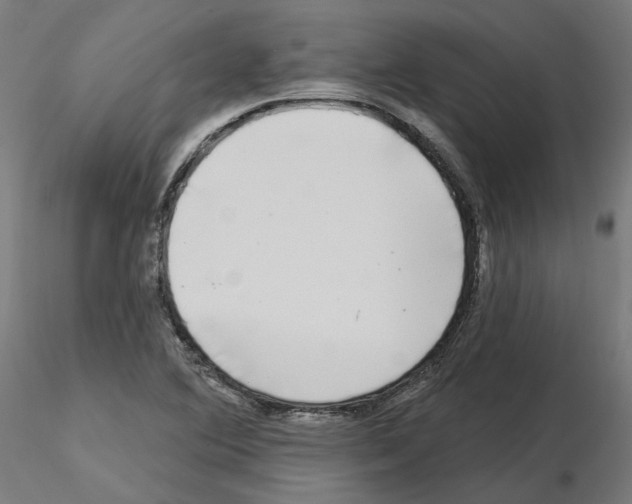 X0000115551364200912181543