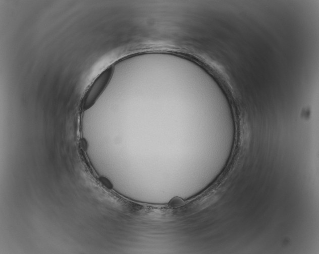 X0000115551365200912181543