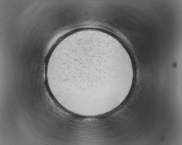 X0000115551368200912181543