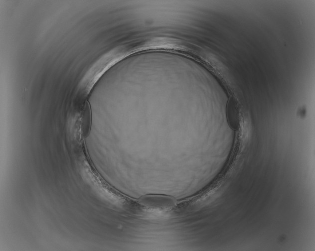 X0000115551369200912181543