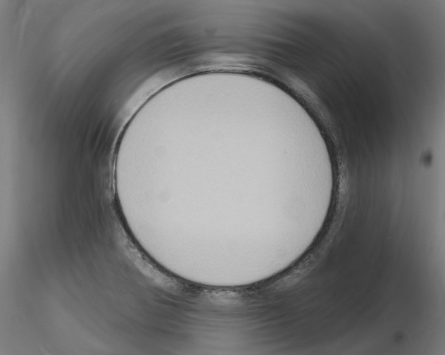 X0000115551370200912181543