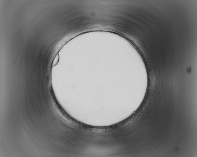 X0000115551371200912181543