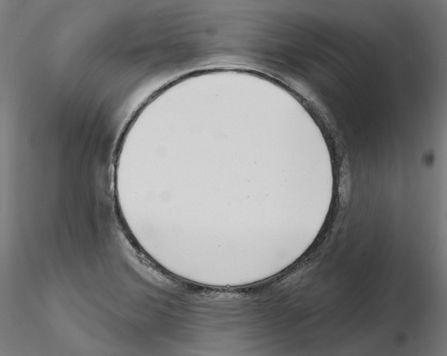 X0000115551372200912181543