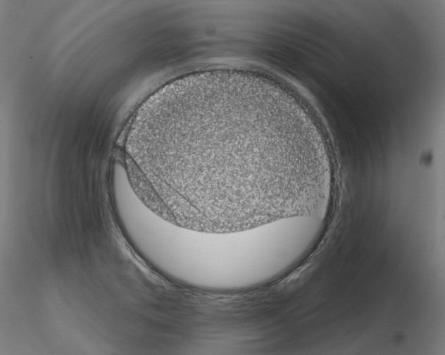 X0000115551373200912181543