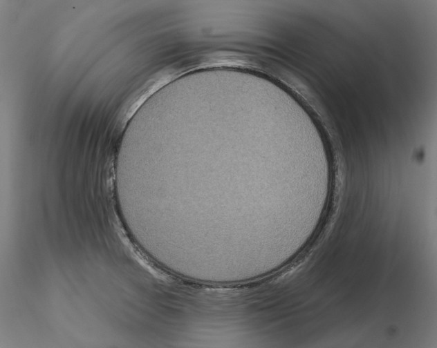 X0000115551377200912181543