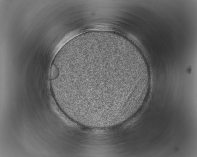 X0000115551378200912181543