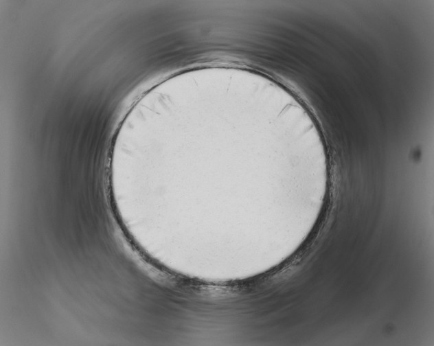 X0000115551379200912181543