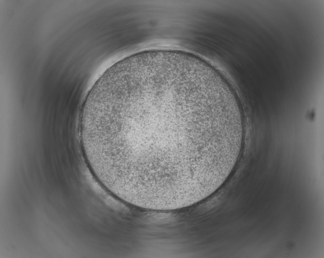 X0000115551382200912181543