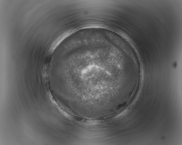 X0000115551385200912181543