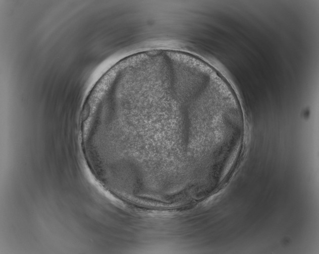 X0000115551389200912181543