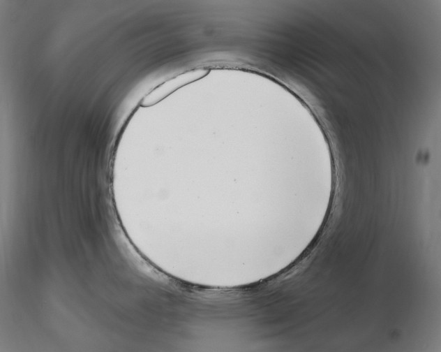 X0000115551392200912181542