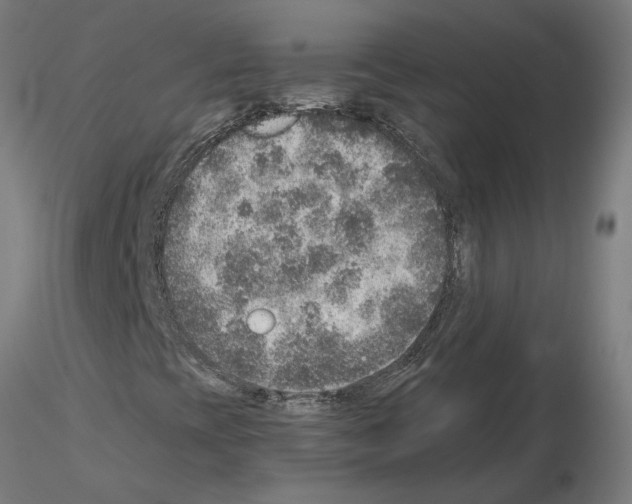 X0000115551393200912181542