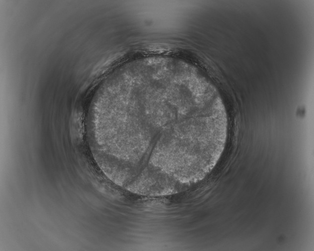 X0000115551394200912181542