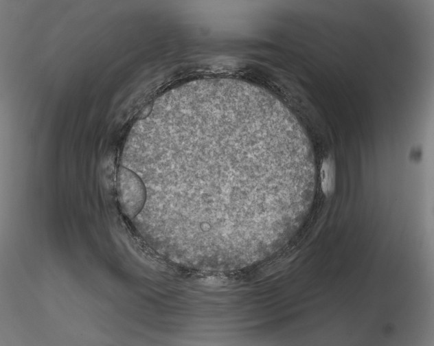 X0000115551395200912181542