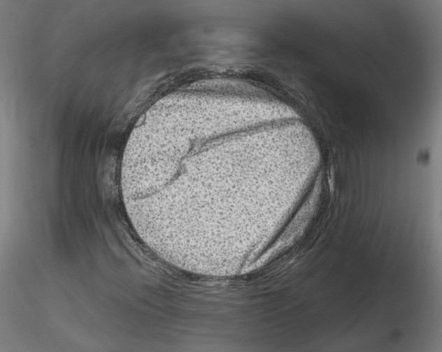 X0000115551396200912181542