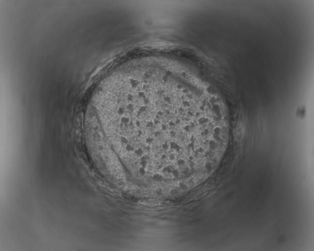 X0000115551397200912181542