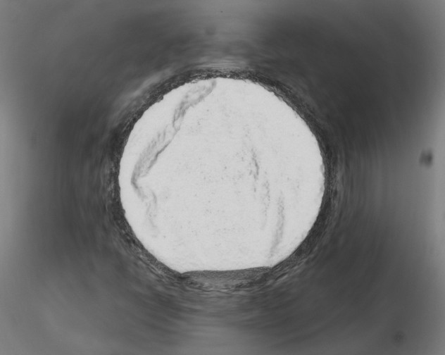 X0000115551398200912181542