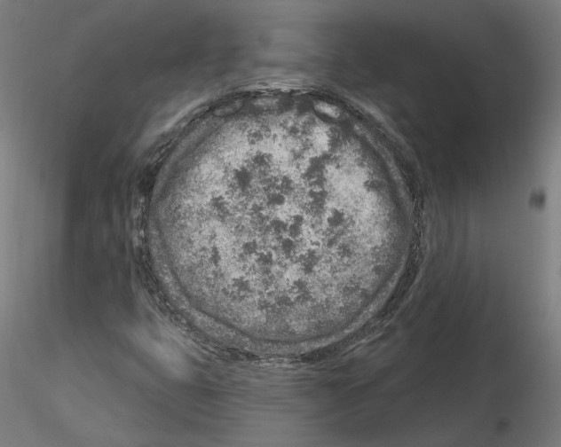 X0000115551399200912181542