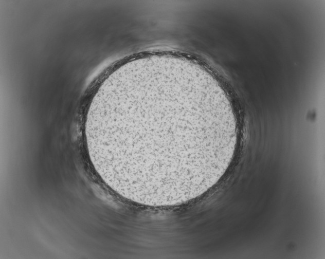 X0000115551400200912181542