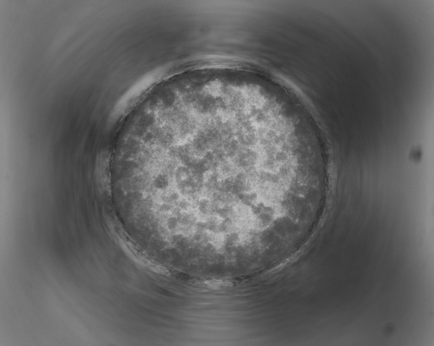 X0000115551403200912181542