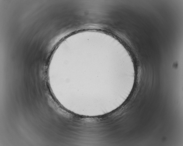 X0000115551404200912181542