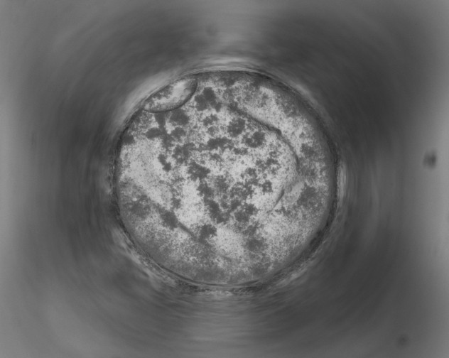 X0000115551405200912181542