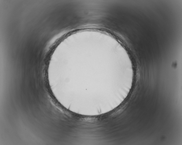 X0000115551406200912181542