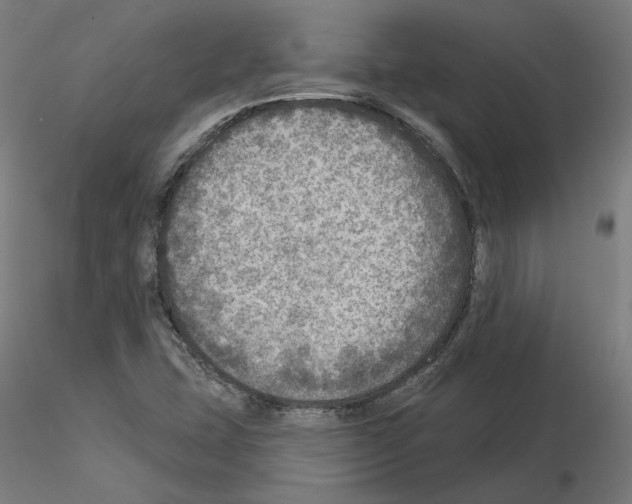 X0000115551407200912181542