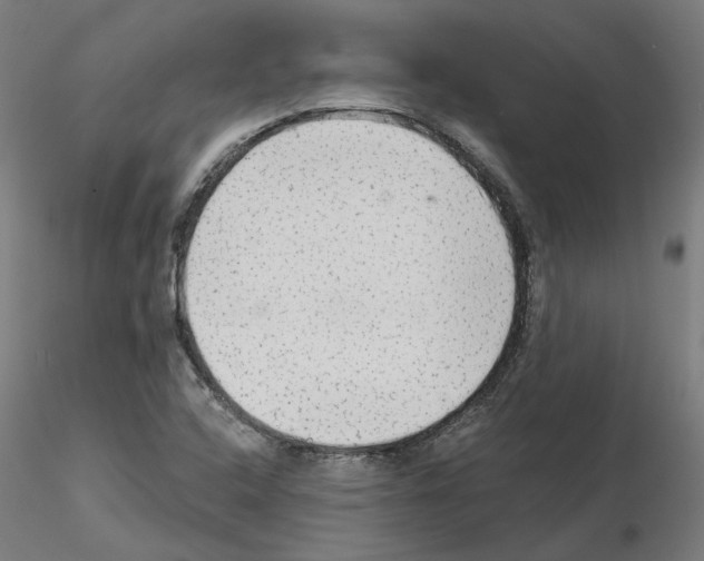 X0000115551408200912181542